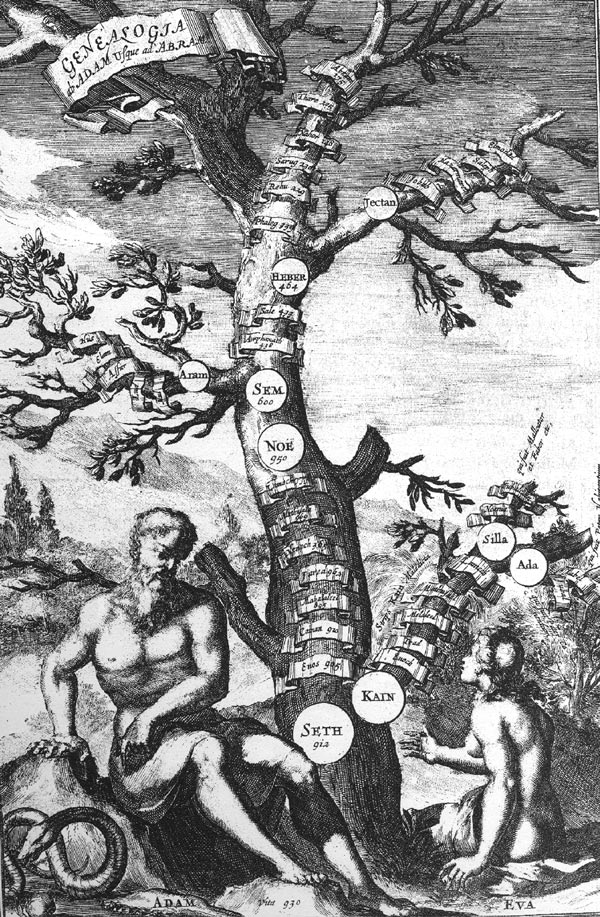 Arbol de los descendientes de Adán, de la obra Arca de Noé, de Athanasius Kircher, 1675