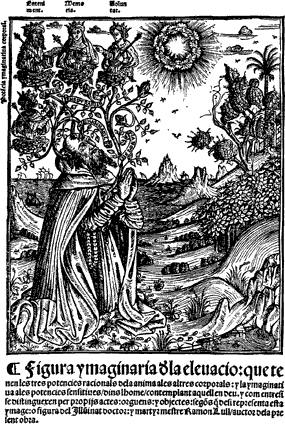 Ramon Llull como Arbol cósmico en la obra Blanquerna, 1521