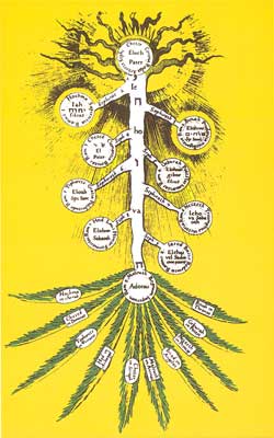 El Arbol sefirótico como palmera invertida, en Robert Fludd