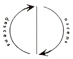 divisió del símbol de la roda